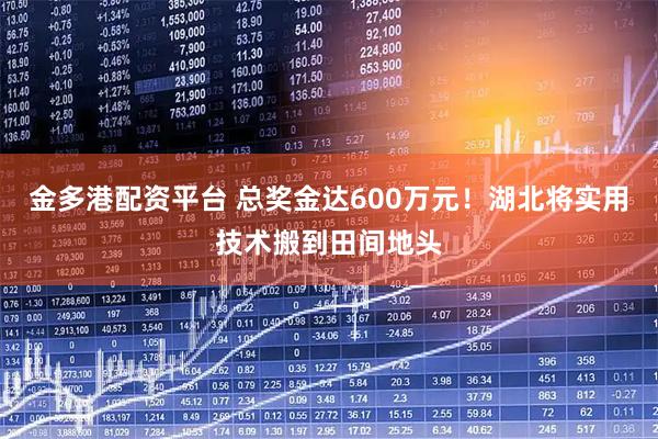 金多港配资平台 总奖金达600万元！湖北将实用技术搬到田间地头
